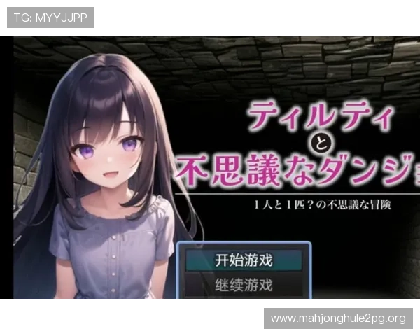汉化组绅士RPG游戏大全：涵盖各类题材的高质量汉化游戏推荐与玩家必备攻略