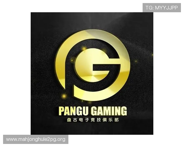 PG电子登录流程详解，确保每位玩家都能顺利开启精彩游戏之旅